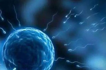 皖南医学院弋矶山医院做三代试管成功率如何？一文读懂需要花多少钱