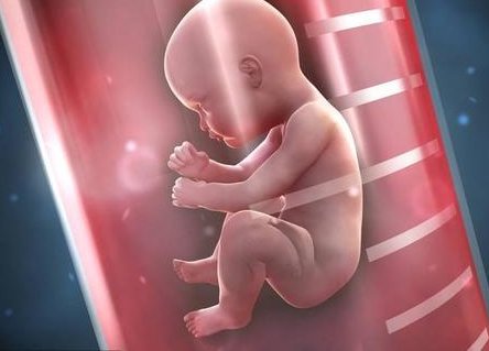 子宫纵隔生育困难可以在灯塔市做三代试管吗？子宫有问题做试管的成功率高吗？