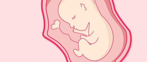 解读秦皇岛试管婴儿费用大概多少，四大项目收费均不贵