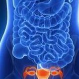 染色体异常不孕能在中部战区总医院做三代试管怀孩子吗？男人染色体有问题能做试管吗？