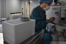 女性子宫肌瘤在中南大学湘雅二医院做三代试管预算八万块够不够？