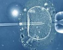 贵州睿德迩妇产医院做三代试管成功率如何？一文读懂需要花多少钱