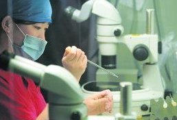 不孕不育在都江堰市做试管的费用有多少？一文告诉你做三代试管建档的流程有哪些