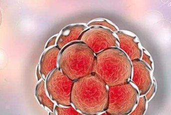 详细解读浙江省做长方案试管婴儿费用，长方案和短方案成功率有差别吗？