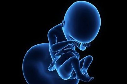 试管促排期间喝黑豆豆浆好吗？可以提高卵子质量吗？